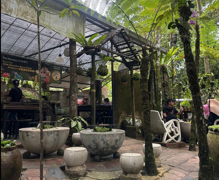 kopi hutan penang hill